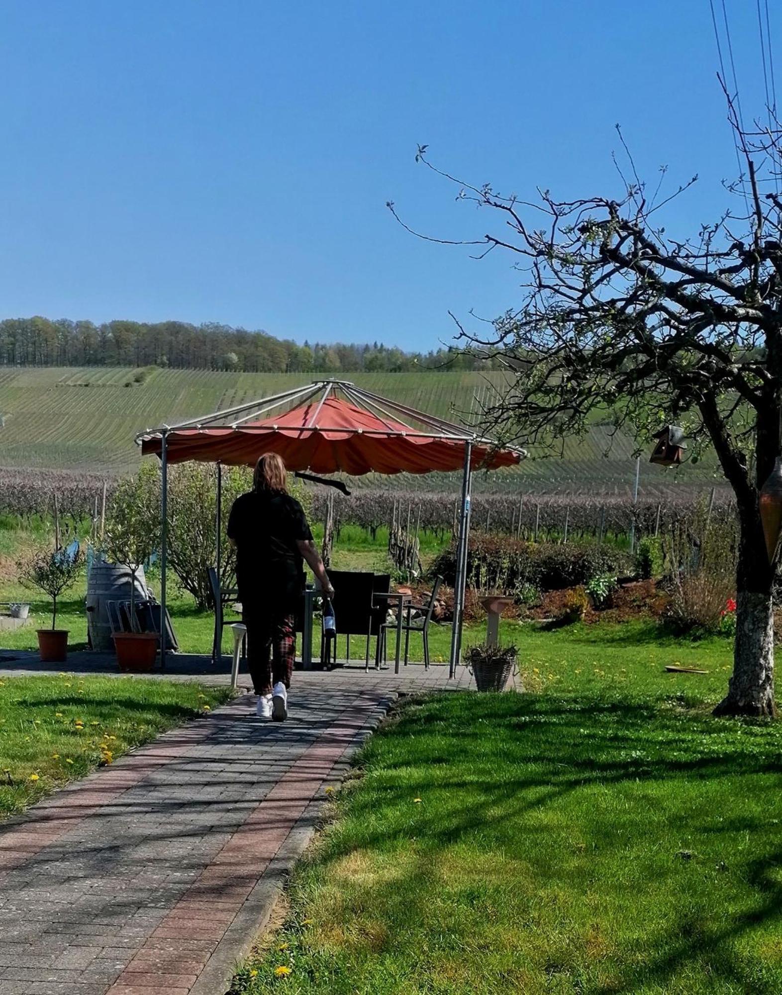 Weingut Tiliahof Panzió Brauneberg Kültér fotó
