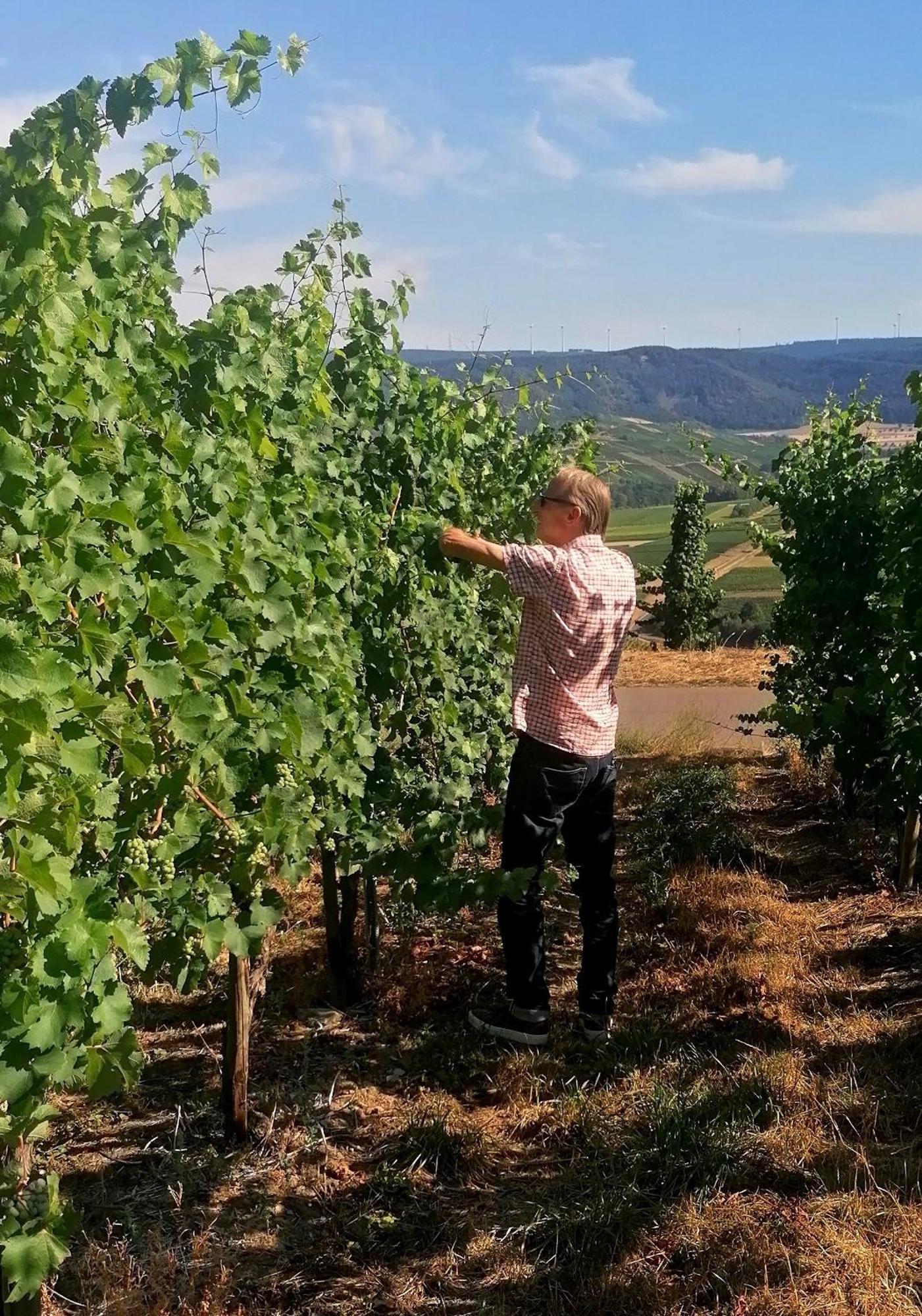 Weingut Tiliahof Panzió Brauneberg Kültér fotó