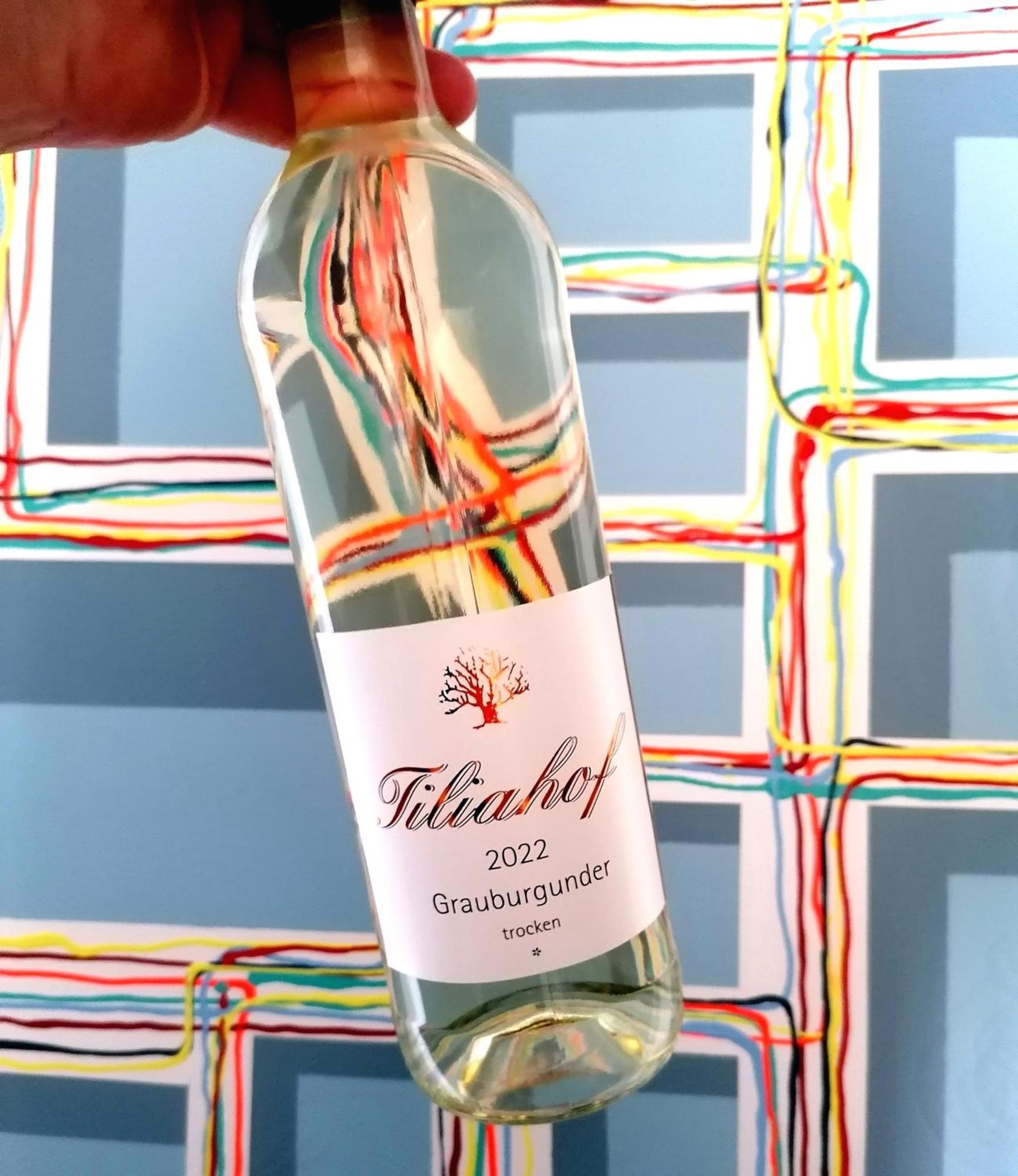 Weingut Tiliahof Panzió Brauneberg Kültér fotó